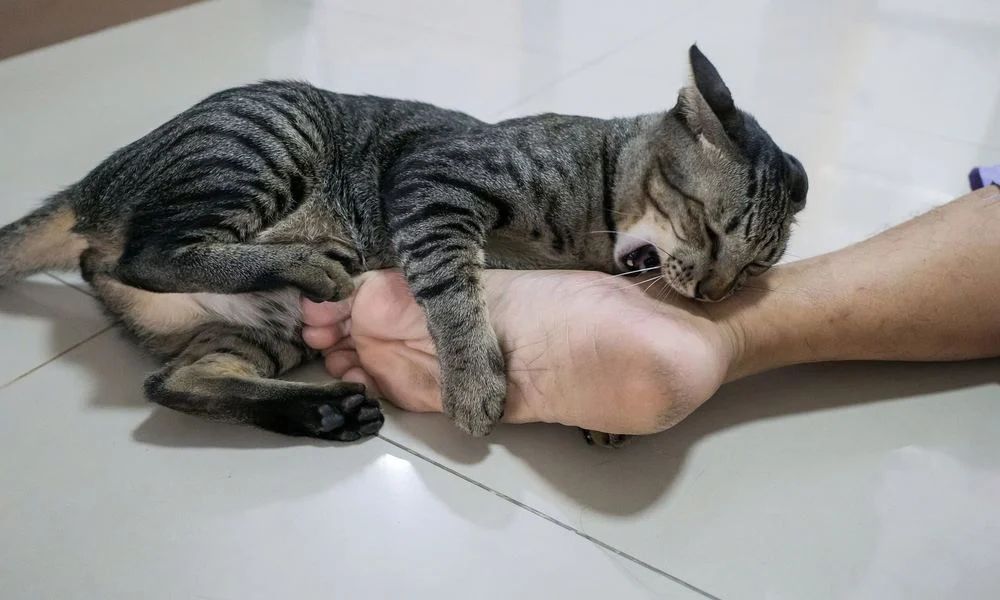 IMG_20230706_015546_530