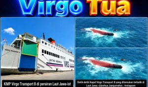 Vigota-8